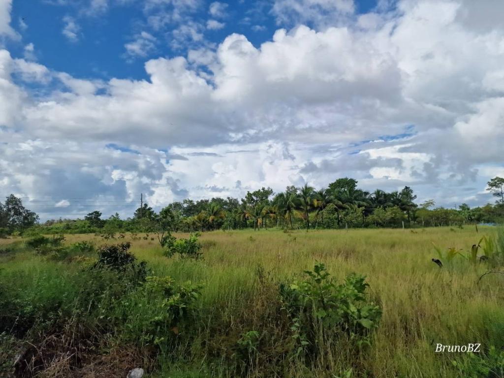 listing image with ID 68241