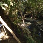 listing image thumbnail with ID 64064