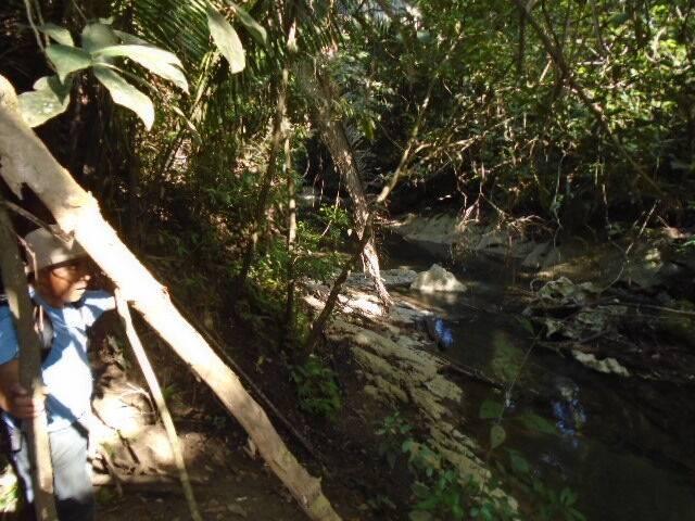 listing image with ID 64064