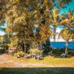 listing image thumbnail with ID 63791