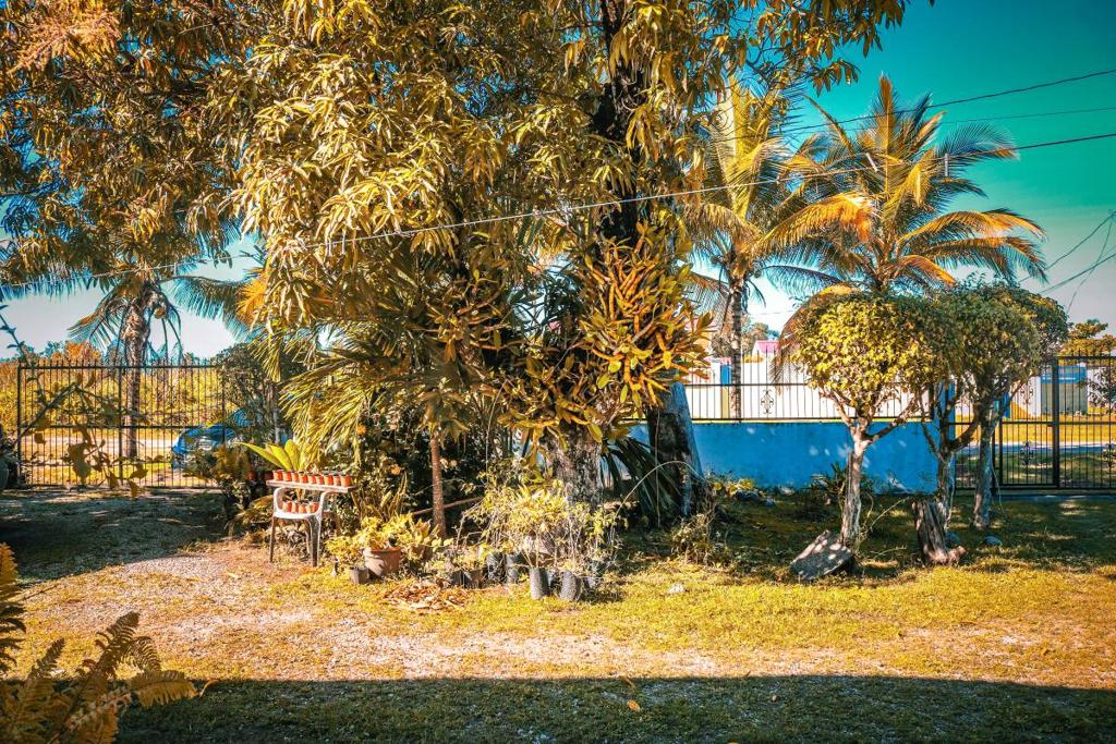 listing image with ID 63791