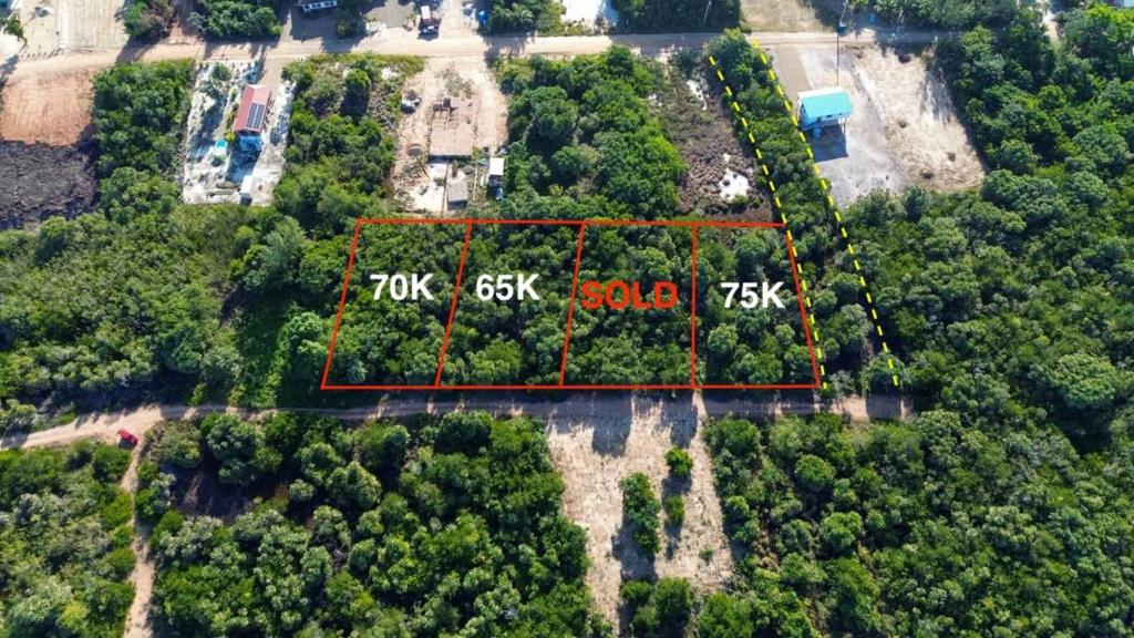 listing image with ID 67796