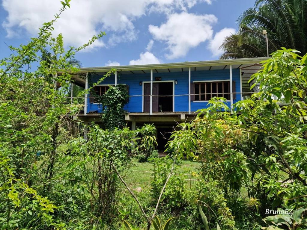 listing image with ID 67888