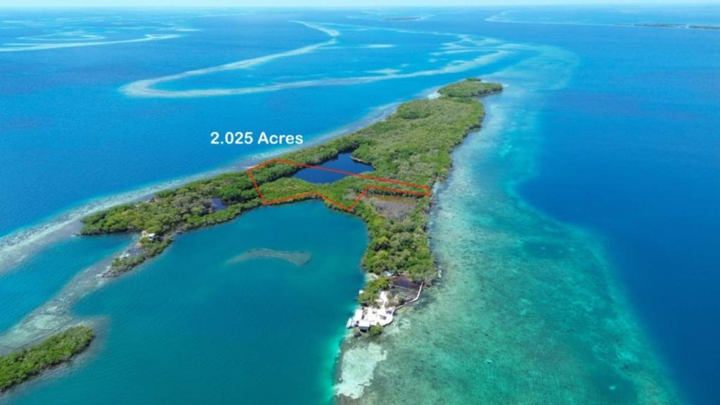 listing image with ID 66834