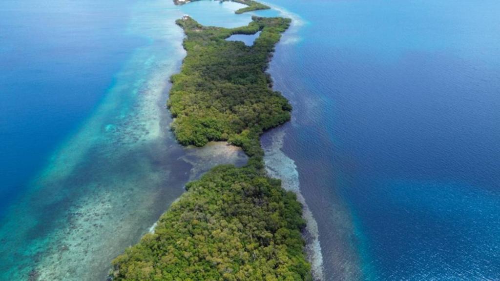 listing image with ID 66865