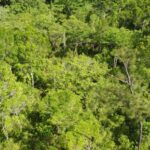 listing image thumbnail with ID 63959