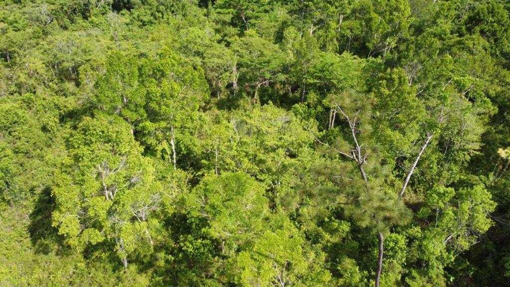 listing image with ID 63959