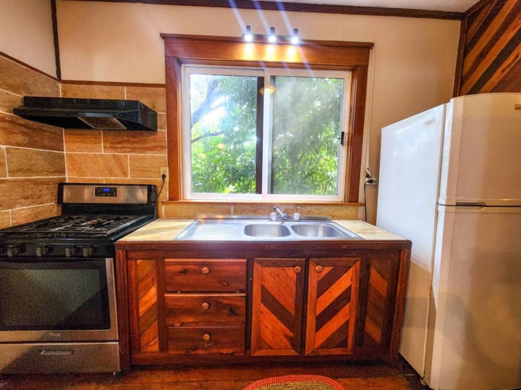 listing image with ID 66029