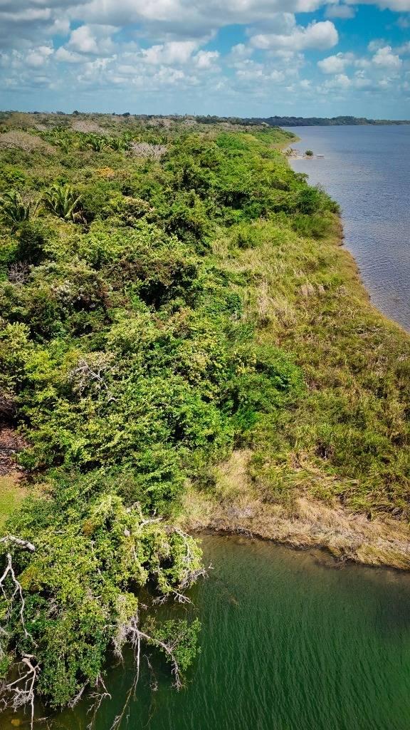 listing image with ID 68991