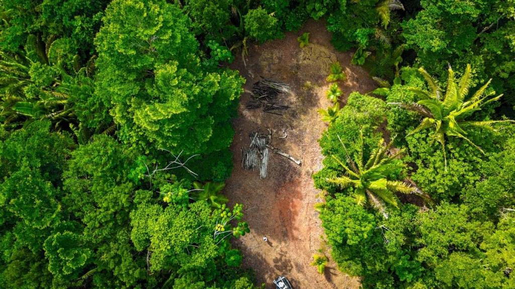 listing image with ID 63934