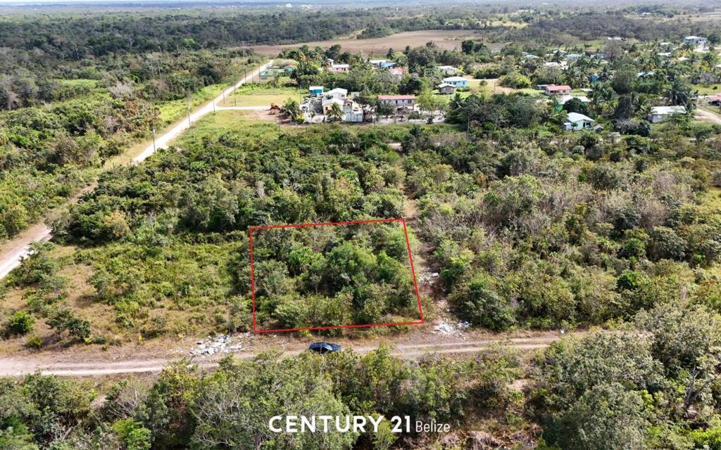 listing image with ID 64412