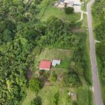 listing image thumbnail with ID 65418