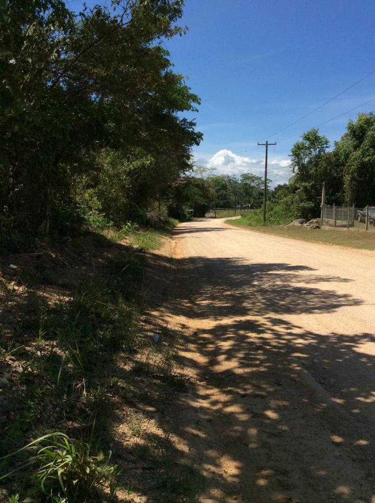 listing image with ID 64771