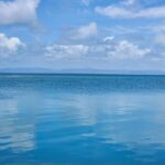 listing image thumbnail with ID 65077