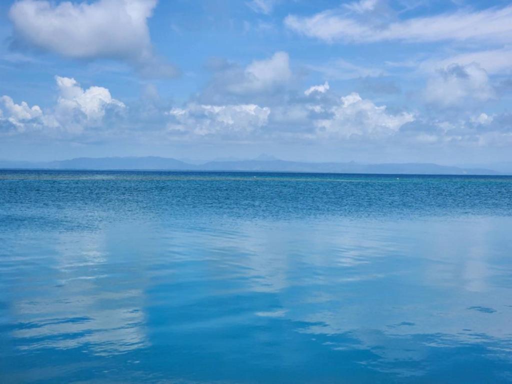 listing image with ID 65077