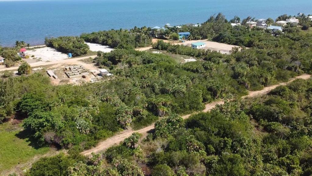 listing image with ID 67048