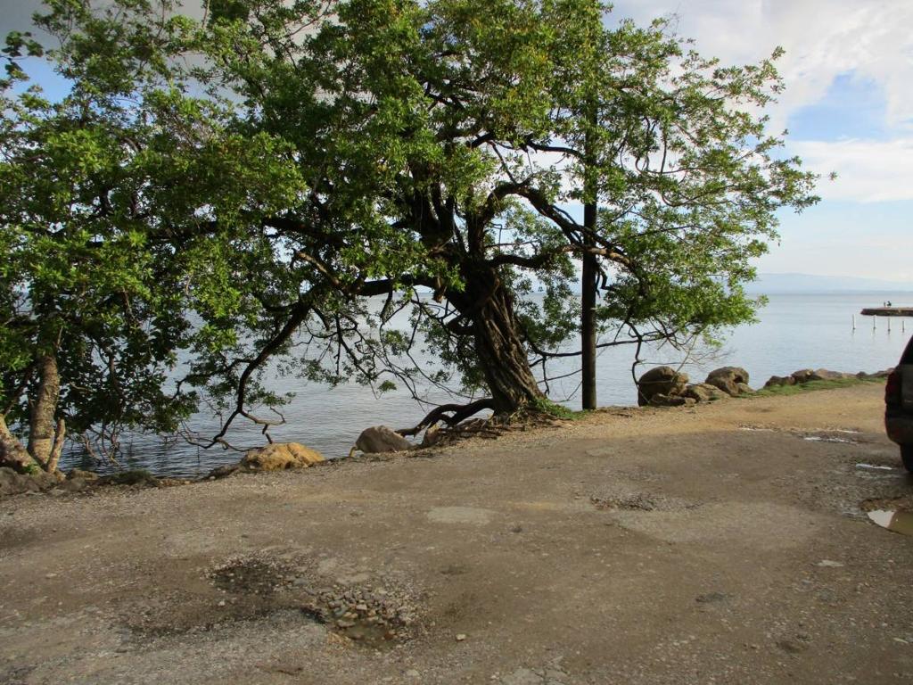 listing image with ID 64177