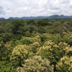 listing image thumbnail with ID 64215