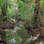 listing image thumbnail with ID 67534