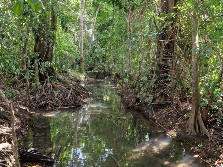 listing image with ID 67534