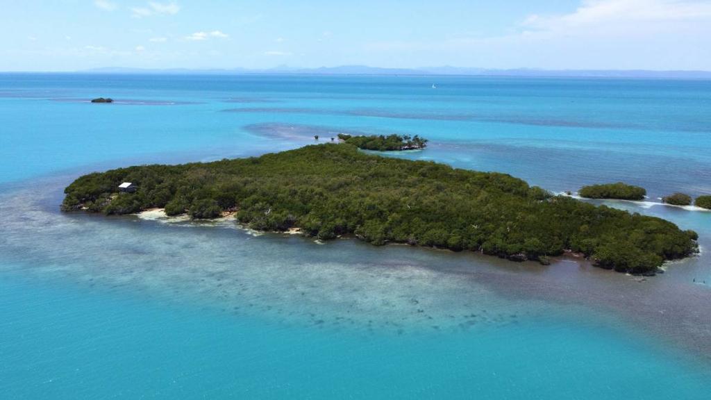 listing image with ID 65390