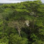 listing image thumbnail with ID 66288