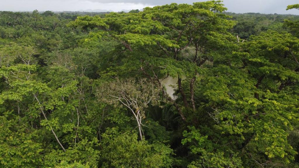 listing image with ID 66288