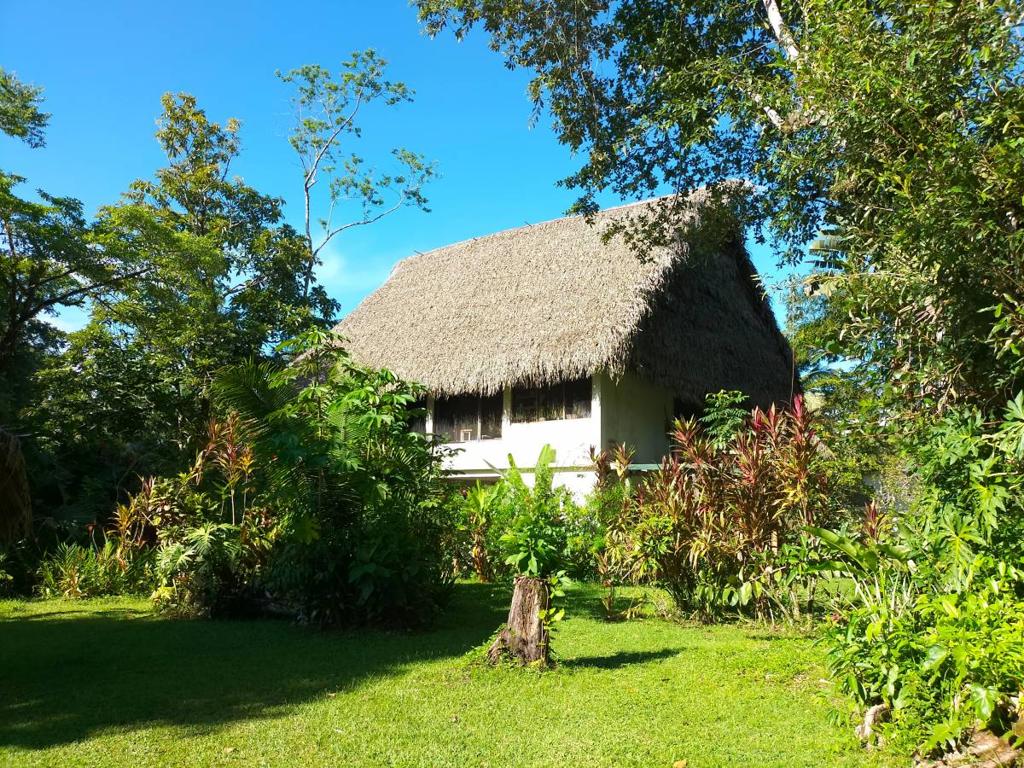 listing image with ID 65523