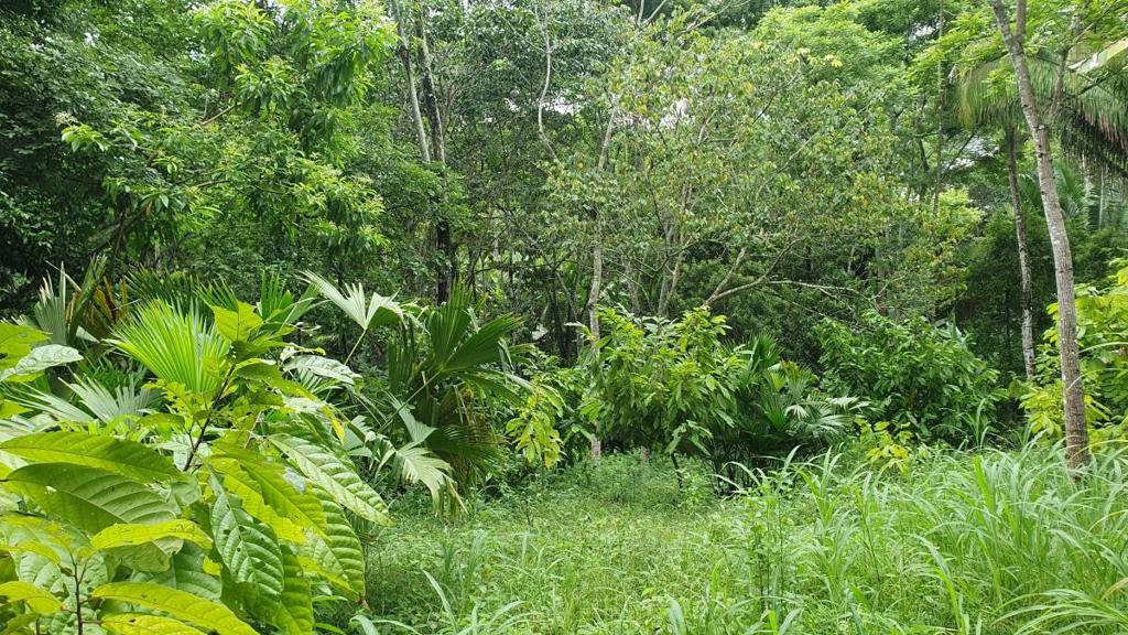 listing image with ID 66275