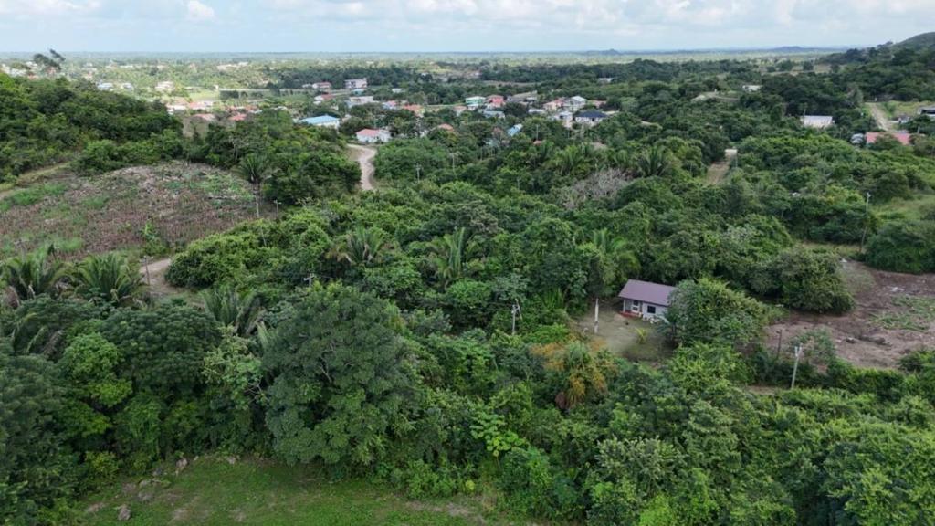 listing image with ID 64108