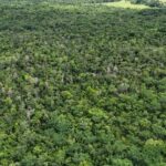 listing image thumbnail with ID 66660