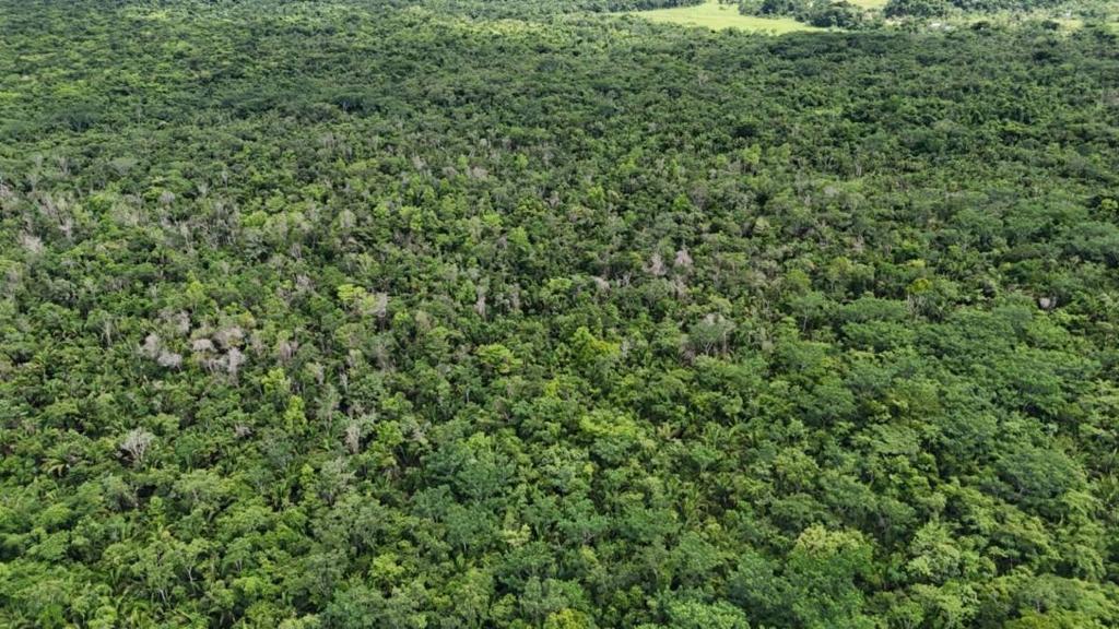 listing image with ID 66660