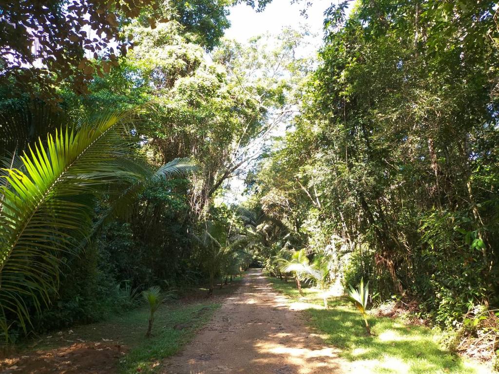 listing image with ID 65527