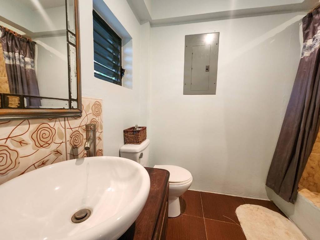 listing image with ID 66933