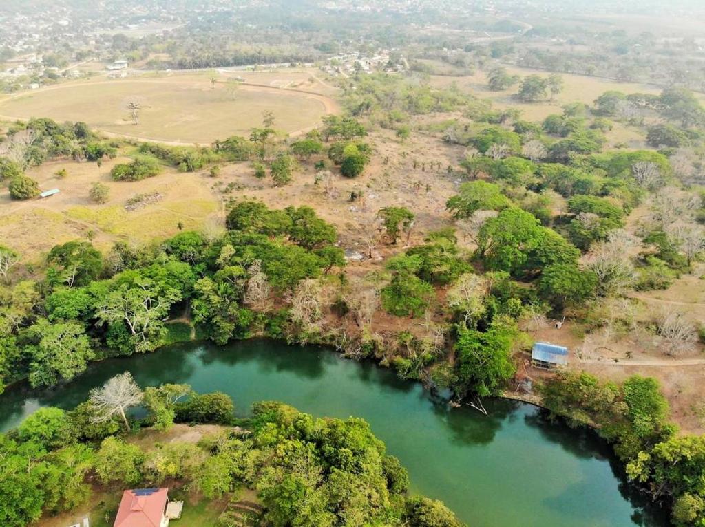 listing image with ID 64752