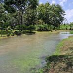 listing image thumbnail with ID 67905