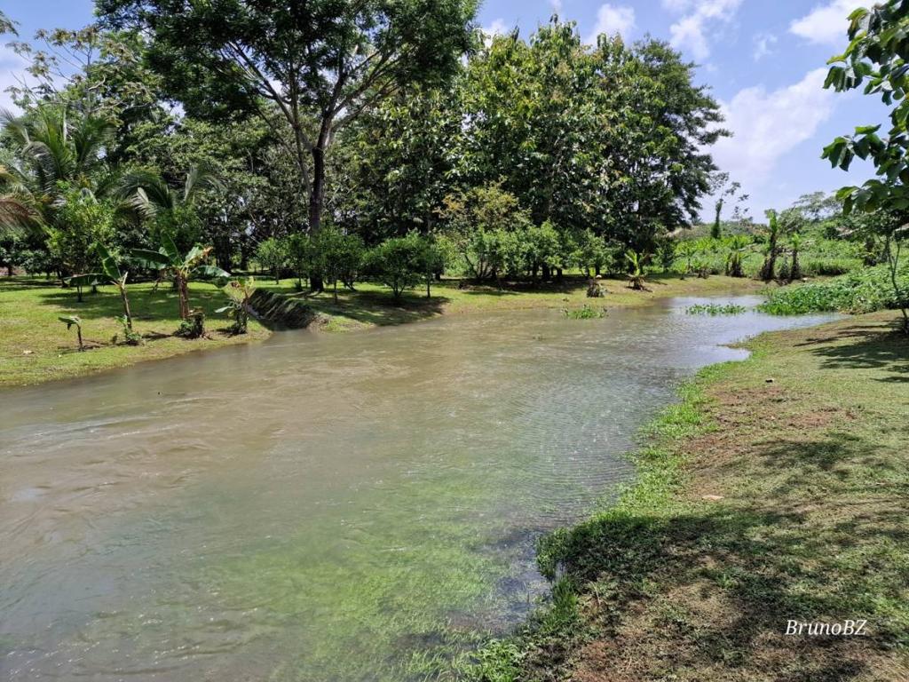 listing image with ID 67905