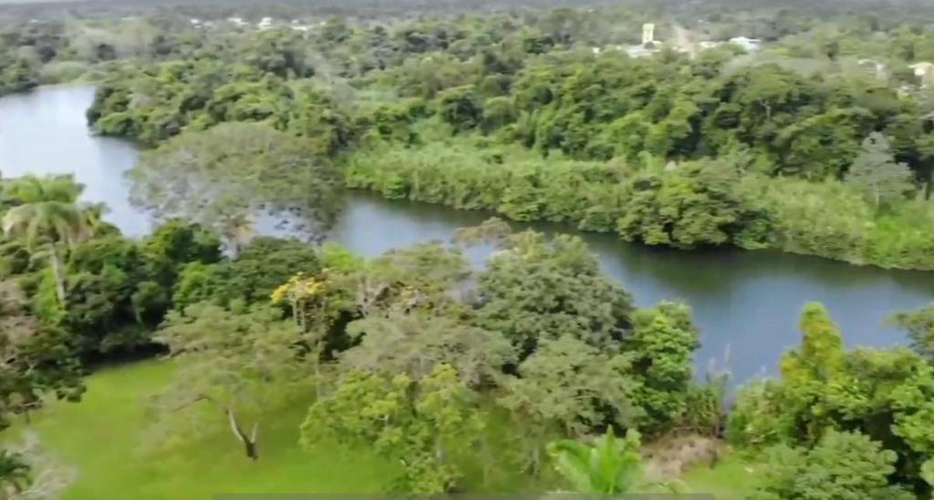 listing image with ID 67750