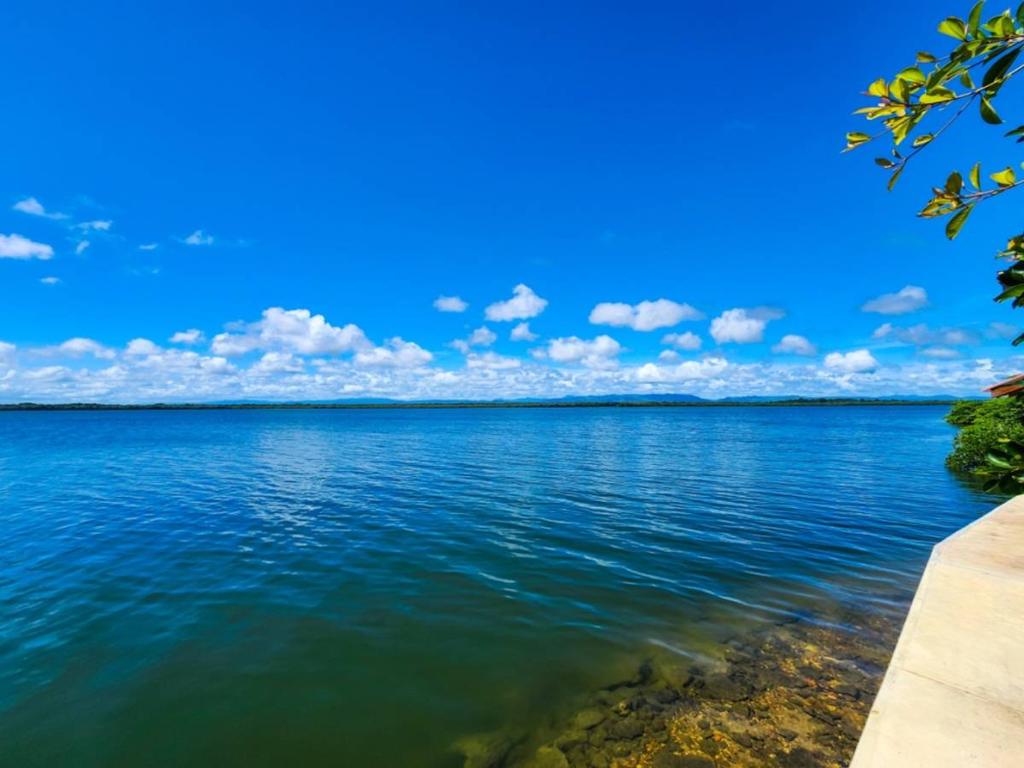 listing image with ID 66796