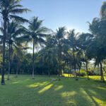 listing image thumbnail with ID 67614