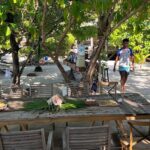 listing image thumbnail with ID 68317