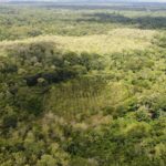 listing image thumbnail with ID 64227