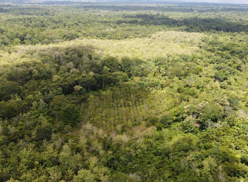 listing image with ID 64227