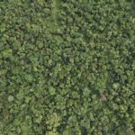 listing image thumbnail with ID 66557