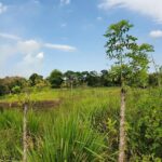 listing image thumbnail with ID 67370