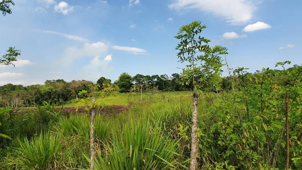 listing image with ID 67370