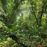 listing image thumbnail with ID 65453