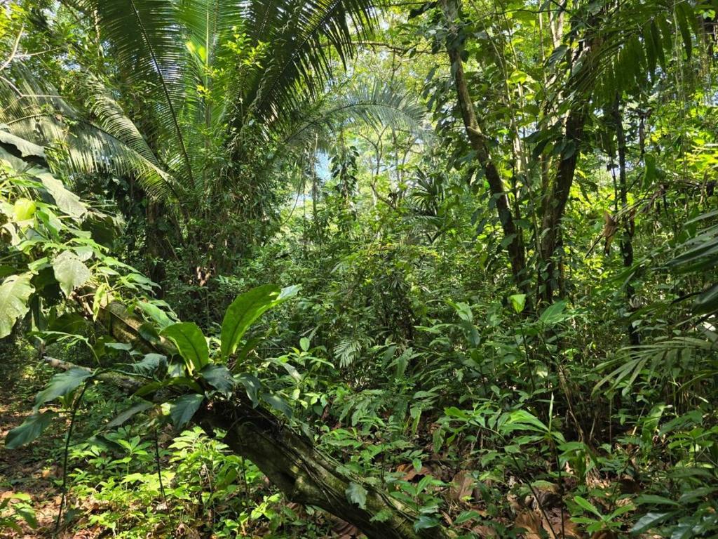 listing image with ID 65453