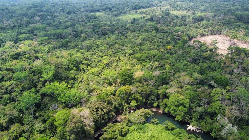 listing image with ID 64877