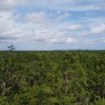 listing image thumbnail with ID 63956